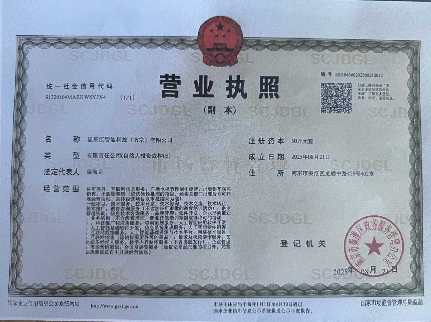 星辰汇智能科技（南京）有限公司 营业执照